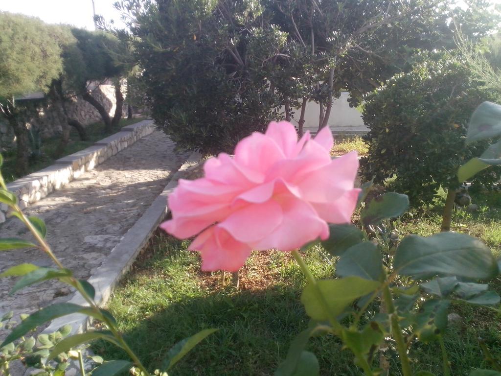דירות Ražanac Kuca Za Odmor Laura מראה חיצוני תמונה