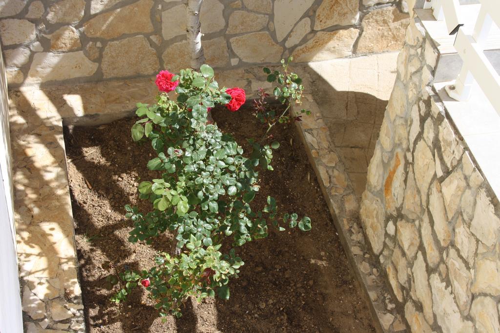 דירות Ražanac Kuca Za Odmor Laura מראה חיצוני תמונה